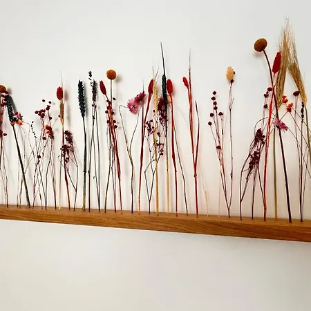 Exclusive - Smart Tv De 75